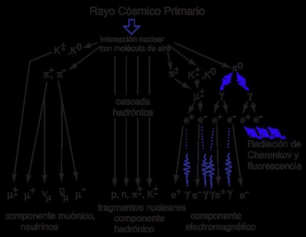 Cascada energética producida por un rayo cósmico primario