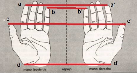 La simetría especular