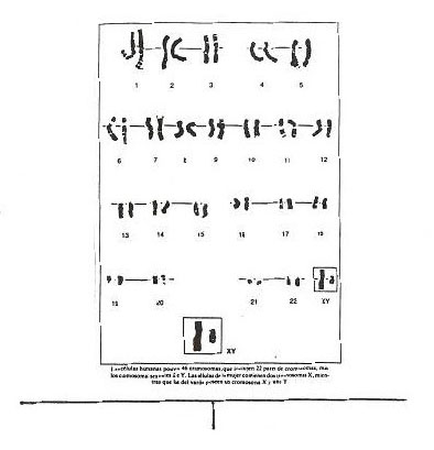 cuadro-atomos.jpg