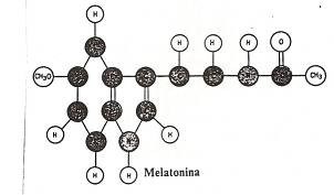 Melatonina