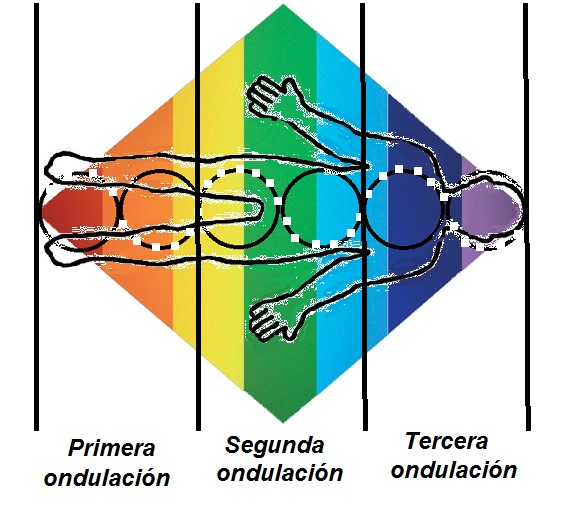 Las tres ondulaciones