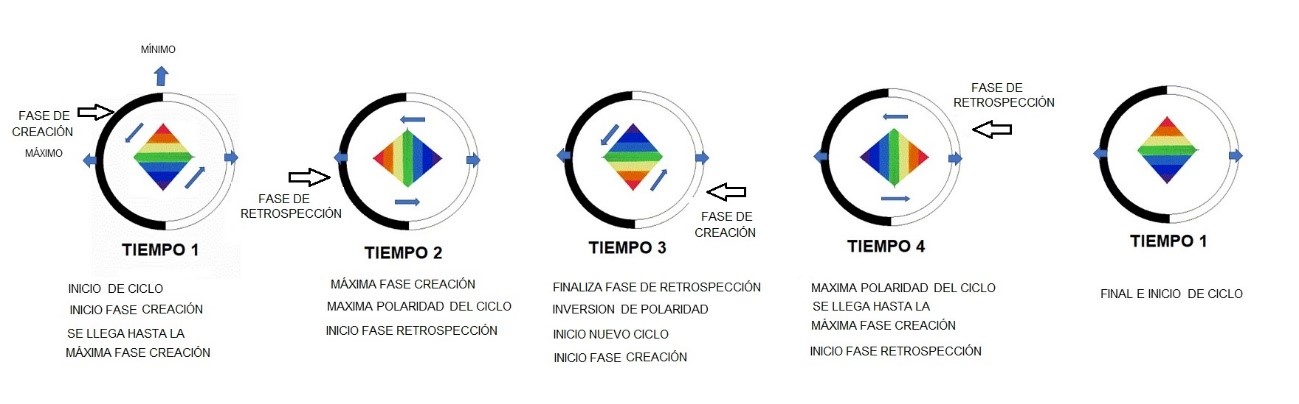 Las cuatro fases del ciclo de la 1ª dimensión