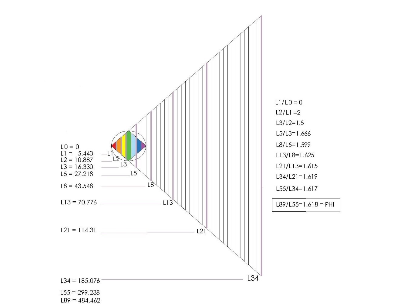 Los valores de las líneas de Fibonacci delimitan a los trapecios