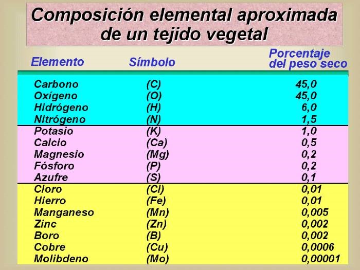 Abundancia de Carbono, Oxígeno, Hidrógeno y Nitrógeno