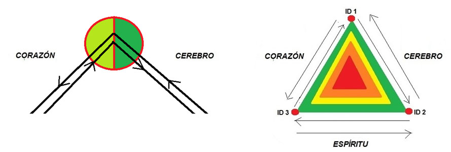 Cada centro de ID es emisor y receptor de los dos circuitos contiguos