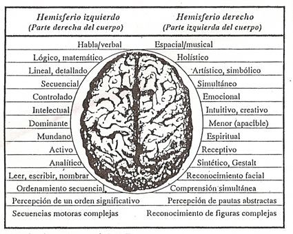 Características generales de los dos hemisferios