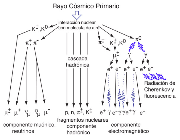 Figura. Cascada energética producida por un rayo cósmico primario