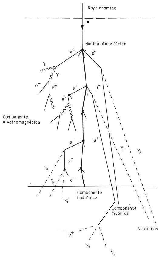 Cascada de reacciones al chocar un rayo cósmico en la atmósfera