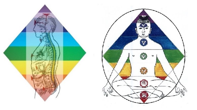 Figura. Chacras y vórtices dimensionales