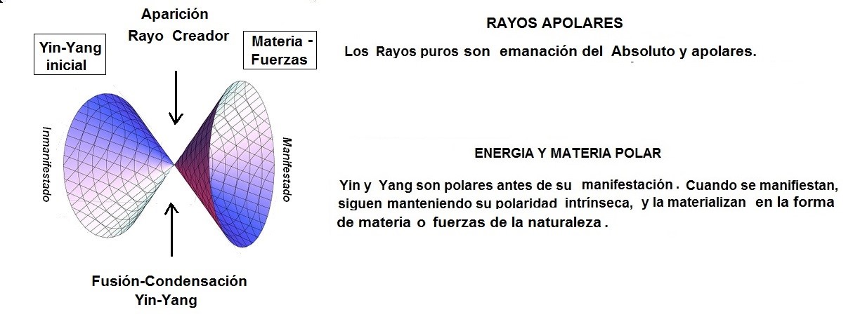 Creación de Materia y Fuerzas a partir de Yin-Yang