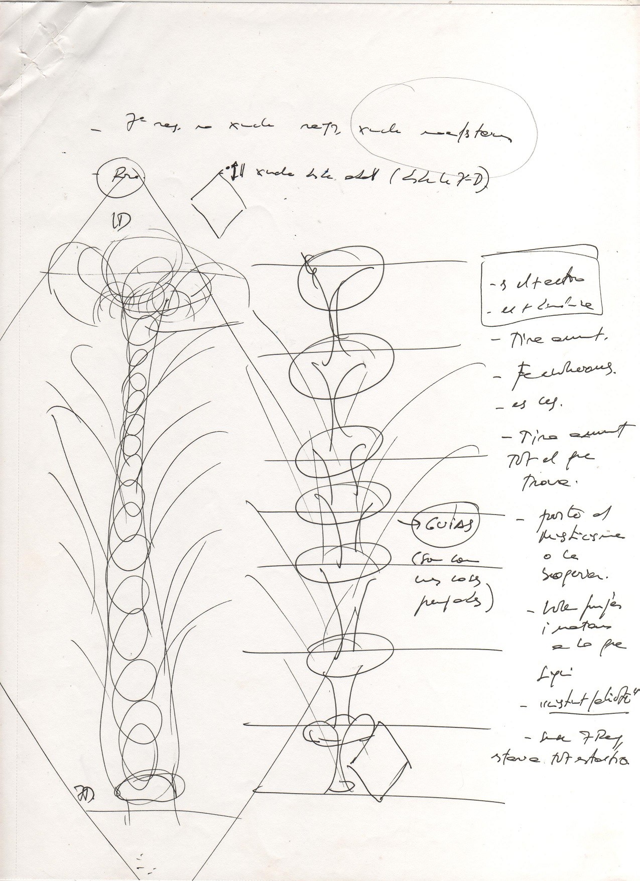 Dibujo número 1 de Rosa y las anotaciones