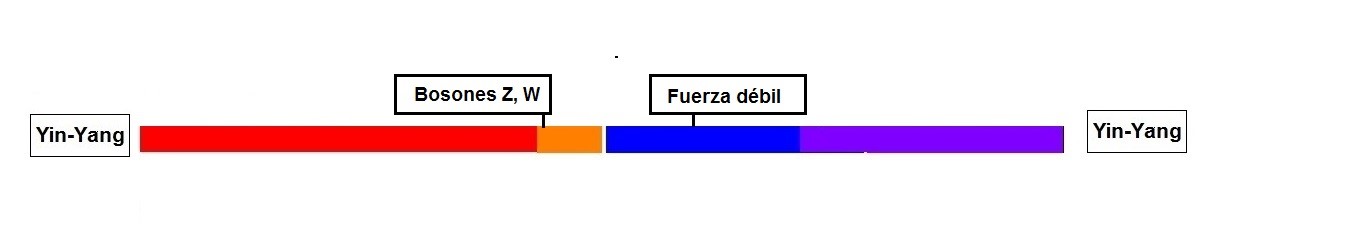 La dualidad campo - partícula en la Fuerza débil