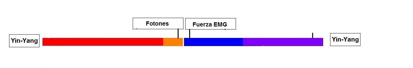 La dualidad campo - partícula en la Fuerza Electromagnética