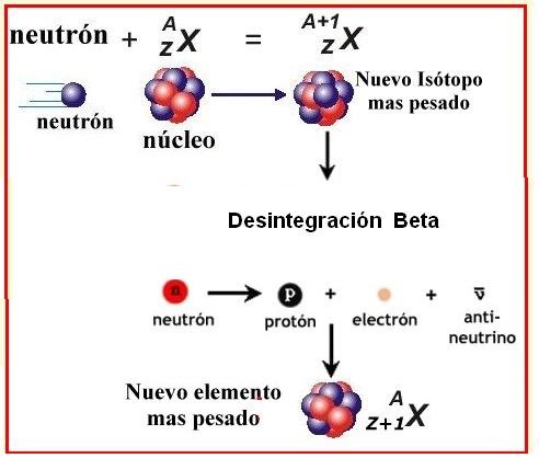 jemplo de la captura de neutrones