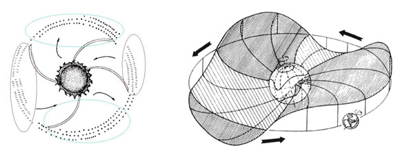 Espiral de Arquímedes y falda de bailarina