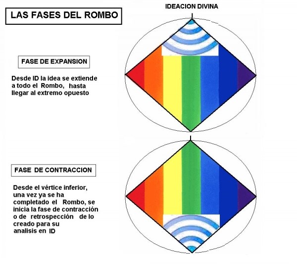 Esquema de las fases de expansión y contracción