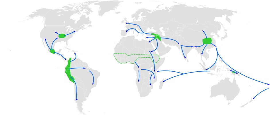 La extensión del Neolítico en el mundo