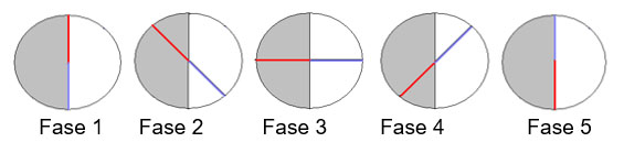 Fases del ciclo del rombo