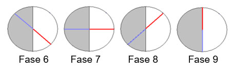 Fases del ciclo del rombo