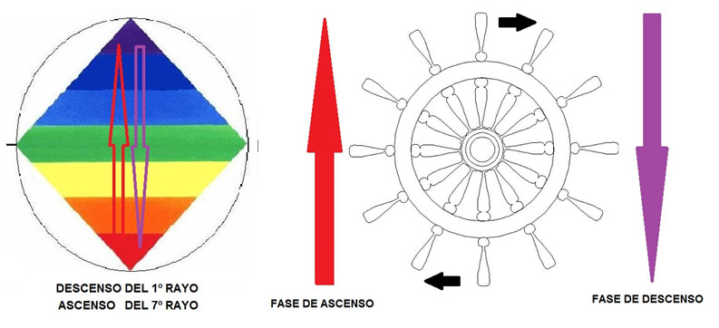 El giro está en la base de todos los movimientos cíclicos