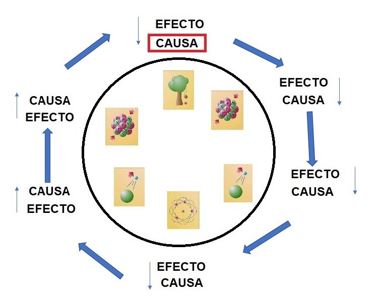 La ley de causa y efecto es una rueda sin fin que comunica a todas las fuerzas