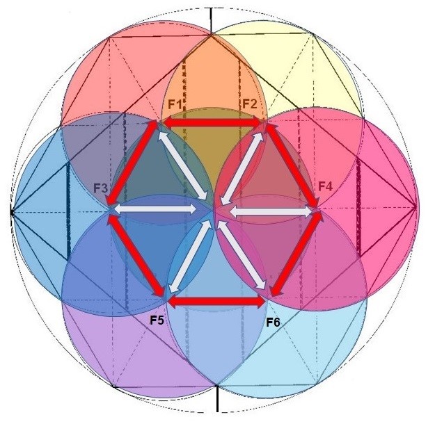 12 vesica piscis totales