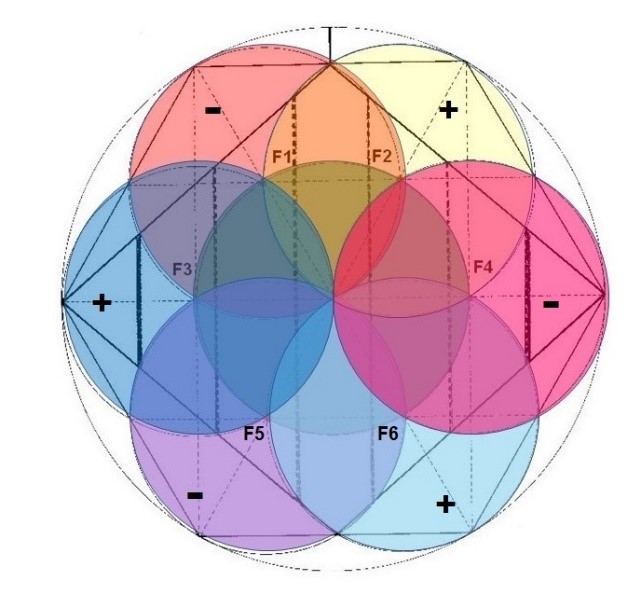 La alternancia de polaridad en los círculos