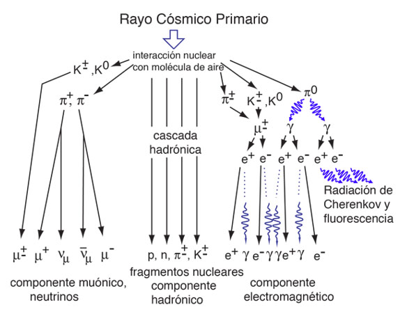 Cascada energética producida por un rayo cósmico primario