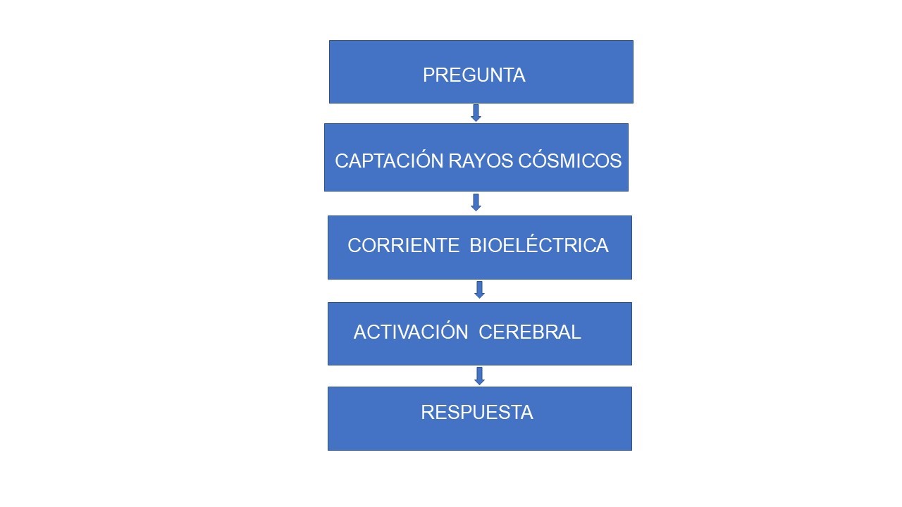 El circuito de los Rayos Cósmicos