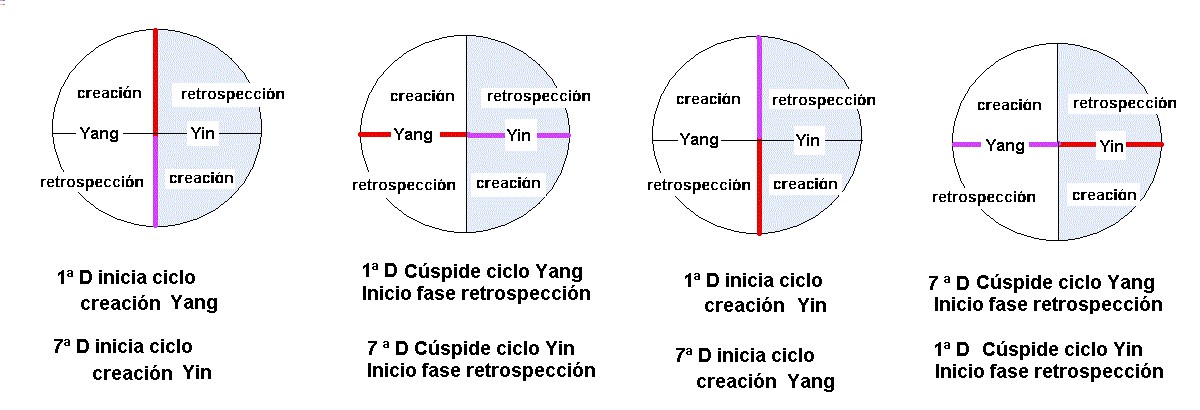 Las distintas fases de un ciclo