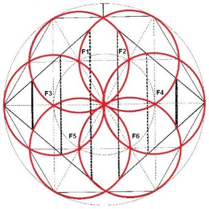 Las distintas circunferencias y las dimensiones