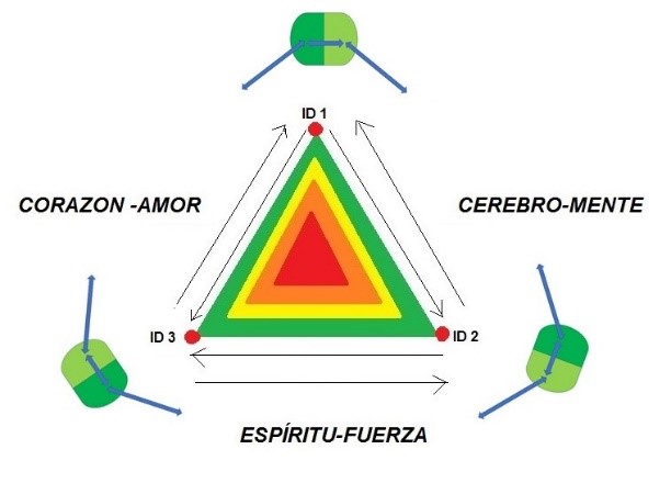 Las flechas en ID representan la interrelación bilateral de ID