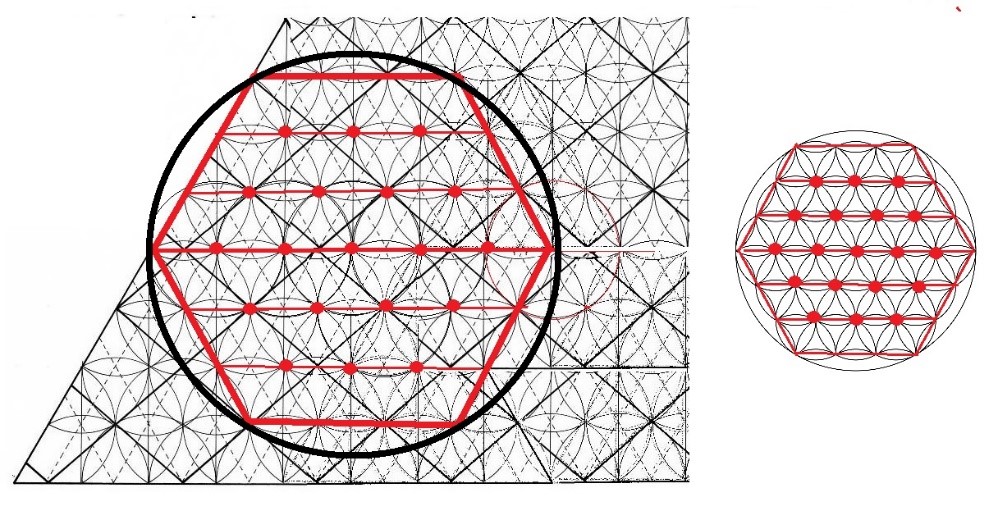 La misma geometría está en las margaritas y en la flor de la vida