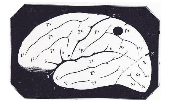 Localización del centro cerebral de espiritualidad cósmica