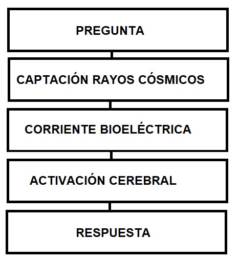 Obtención de la respuesta