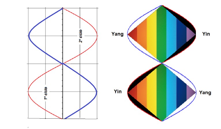 El patrón senoidal de la vida