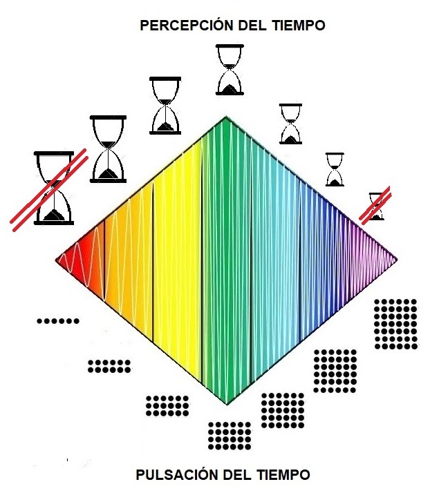 La percepción y la pulsación del Tiempo