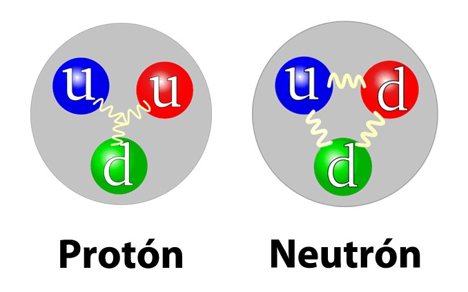 Los quarks de un Protón y de un Neutrón