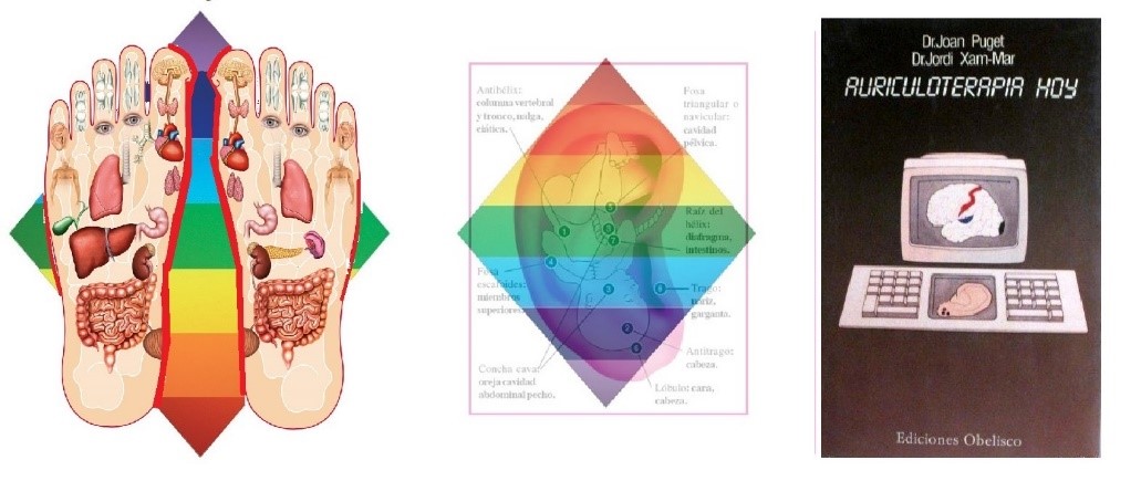 Figura. Reflexoterapia podal y auriculoterapia