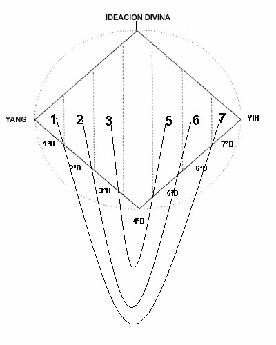 Las relaciones de las dimensiones opuestas y simétricas