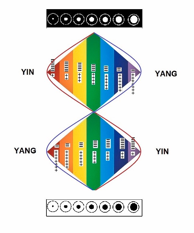 El Yin está representado en negro y el Yang en blanco