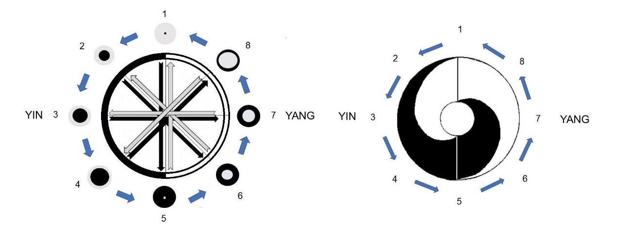 El movimiento de Yin-Yang en un ciclo